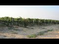 Pan of Vineyard Vines.mov