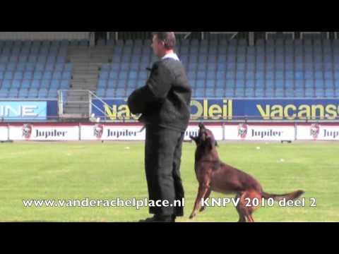 YouTube Трейлер