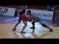 Japanese wrestlers