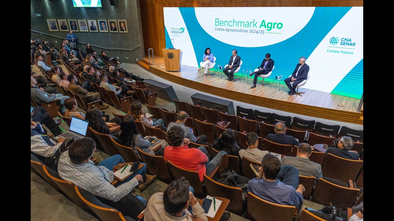 Resumo da Semana - 4 a 8 de novembro de 2024