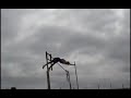 Leon T. Roach III - Vaulting 2