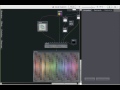Rainbow Light