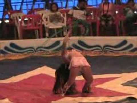 circo orland en girardot