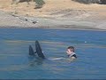 Water Ski in California Water Ski in California