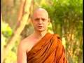Ajahn Jayasaro - How does craving...?