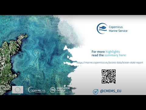 Ocean State Report 5 Summary Now Available