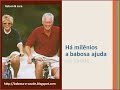 Aloe Vera Sucos Babosa Gelson Lore Distribuidores Independentes