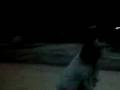 videos de La LlOrOnA_fErNaNdO Y ErNeStO