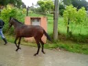 Curramba