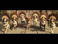  - MovieZen Video