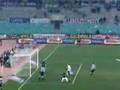 Alen Boksic Compilation