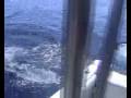 GEOFFROY MAQUET FISHING IN COSTA RICA