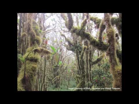 how to involve learners in sustainable woodland management