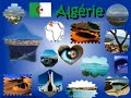 algerie