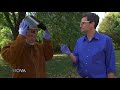 NOVA | Hunting the Elements - YouTube http://t.co/1WGdoTMp
