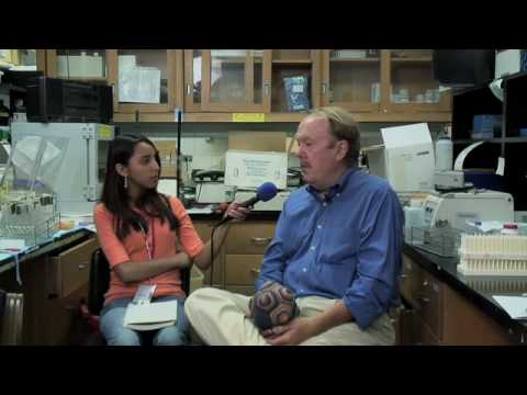how to treat coxsackie b virus