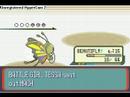 Pokemon Ruby - Dewford Gym