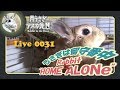 【 Live! 】ウサギは留守番中 0031　2019年2月13日