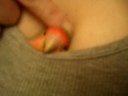 Lovebird Lounging