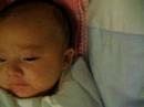 7april2008
