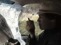 Jurassic Park