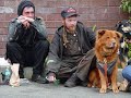 Help the Homeless