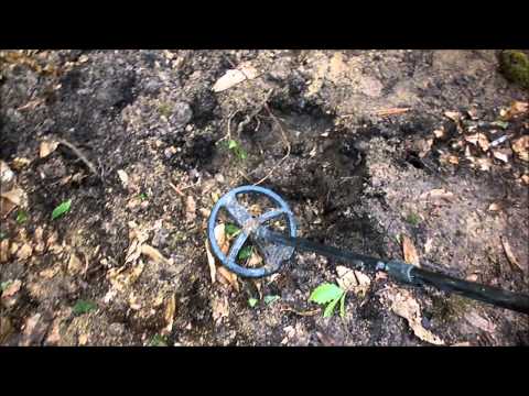 enforet - 