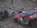 Extracting a Brute Force 750 from the Woods