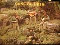 Sons Of Erin....Sullivan's John