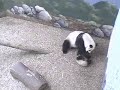 Mei Lan & Lun Lun Play 4/24/07