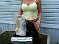 Treasure Hunter Teresa Rocks