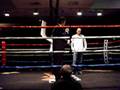 boxing tribute to loco lou