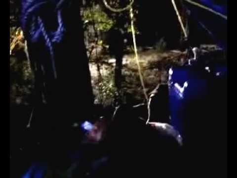 Watch This video Watch This video