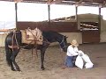 Ranger\ Ranger\