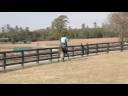 Matt Undersaddle Matt Undersaddle