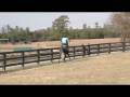 videos de Matt Undersaddle