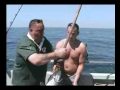 King Conger Eels