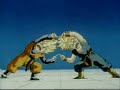DragonBall(AMV) with guano apes DragonBall(AMV) with guano apes