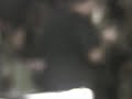 Electric Medicine pushin Too Hard- from the goalmine 12-4-08.wmv