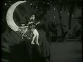 Venus- Dollface