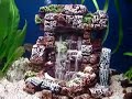 29G Freshwater Aquarium with Sand Fountain 29G Freshwater Aquarium with Sand Fountain