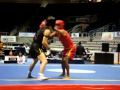 MUNDIAL DE SANSHOU 2009