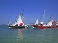 Regata de Dornas