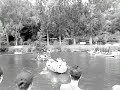 Fischerstechen 1