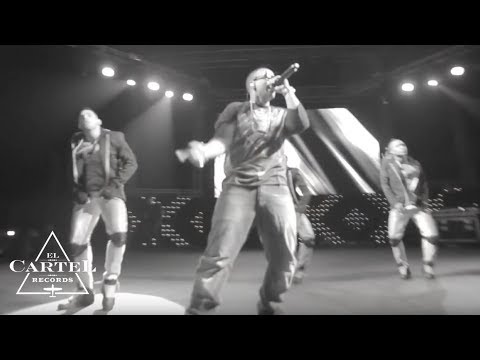 Daddy Yankee @ Gran Canaria (Espa&ntilde;a) (Live) (2013) -