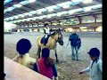 1e paardrijles 1e paardrijles