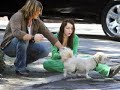 Miley  and her dad consoled a lost pooch