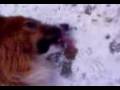 videos de Leckparadies