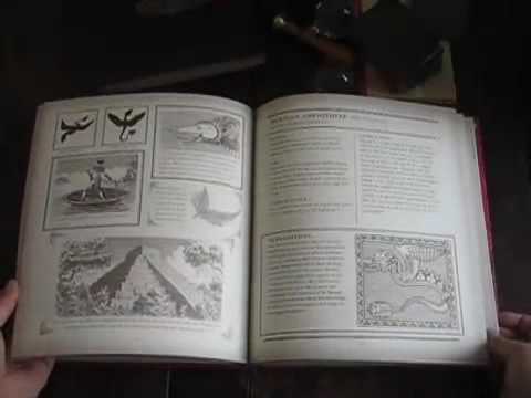 Prehistoric Dragon