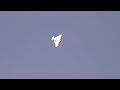 RC Turbine Eurofighter Typhoon